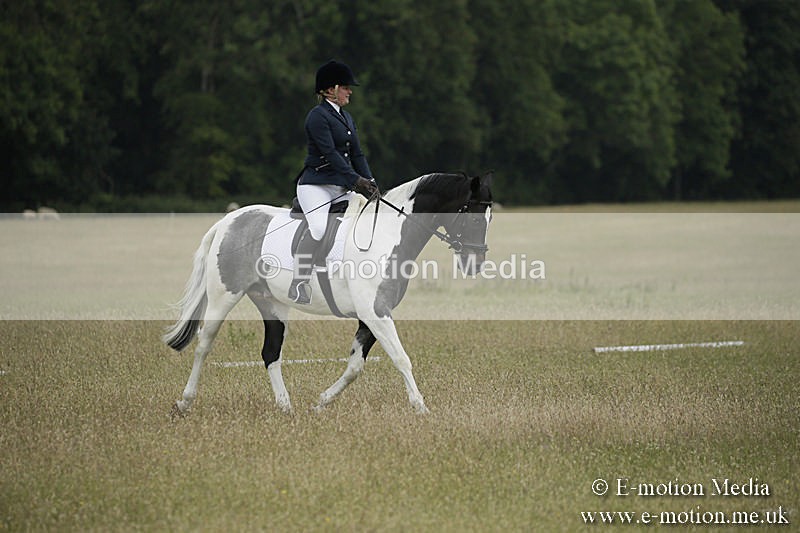 B230619-0371 - Bourne Valley Riding Club Summer Show 23/06/19