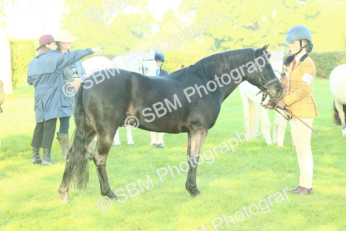 SBM_57438 - S37 - Starters In Hand Showing
