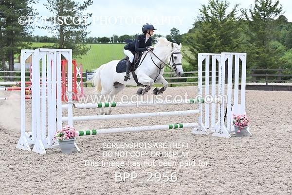 BPP_2956 - CLASS 7 Pony Discovery / 90cm Open