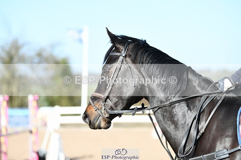 250330-100602-05991 - Cls 32 British Novice and 90cm