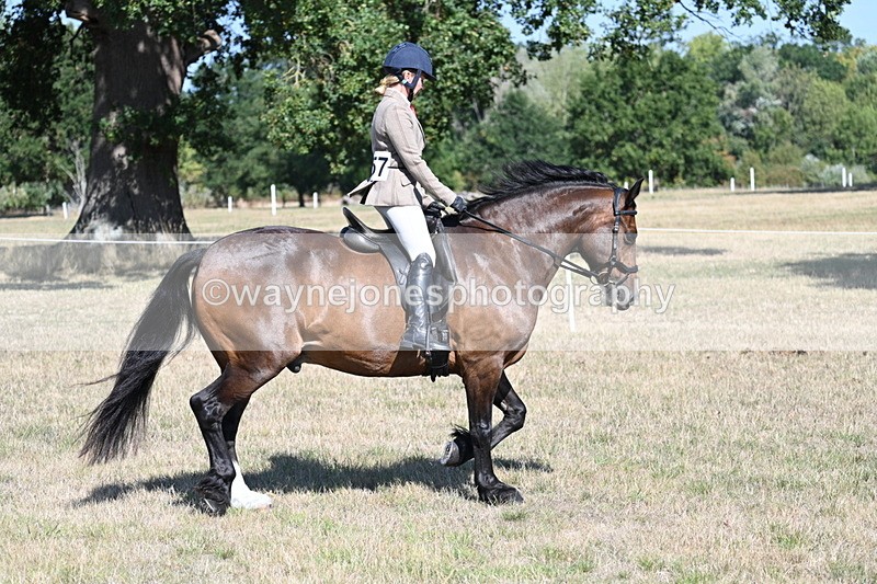 WJ7_3944 - Class 9 Mountain & Moorland Ridden