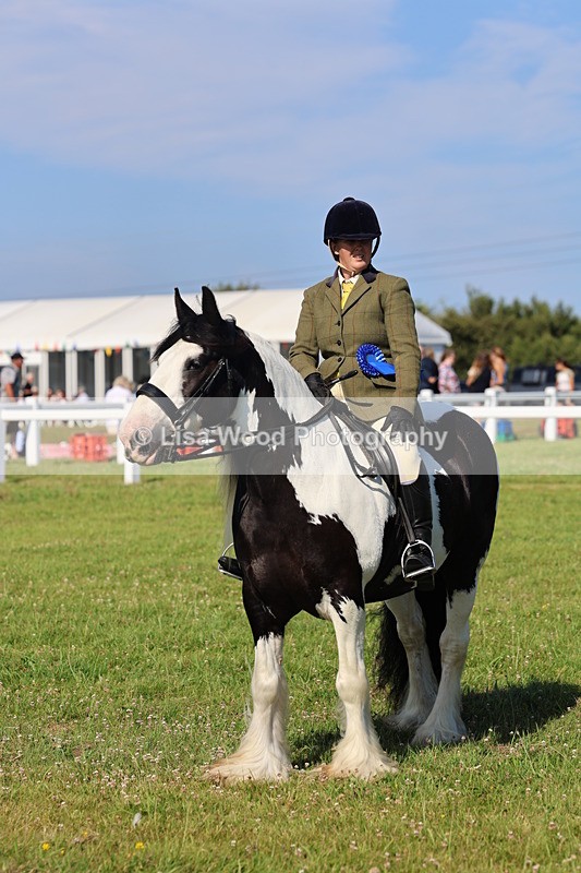 IMG_1607 - Class 30: Ridden Native/Trad Coloured Pony