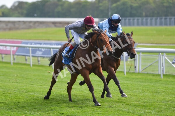 yr13052021r6-40 - Race 6 4.15pm Constant Security EBFstallions.com Maiden Stakes