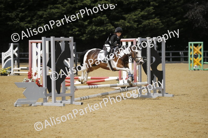 20250622-4127 - 50cm