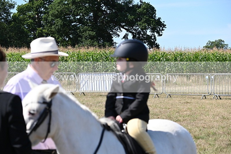 WJ6_7870 - Class 36 Lead Rein