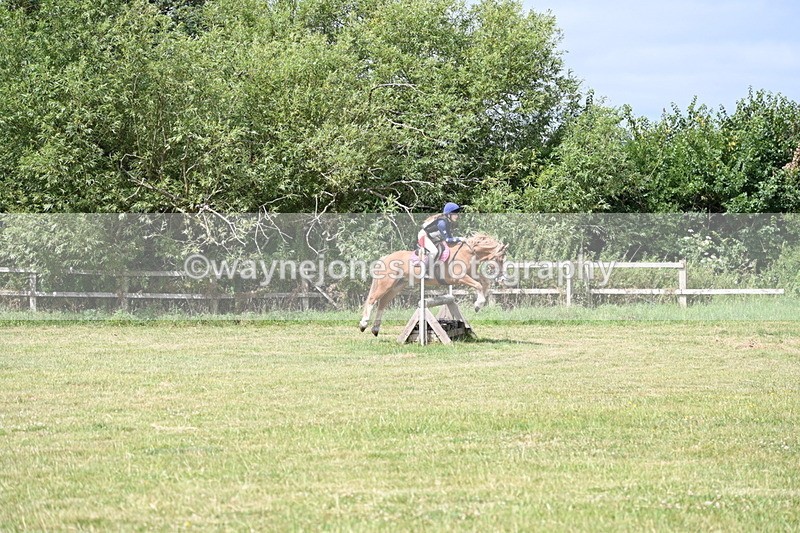 WJ6_6871 - 80cm XC Pairs