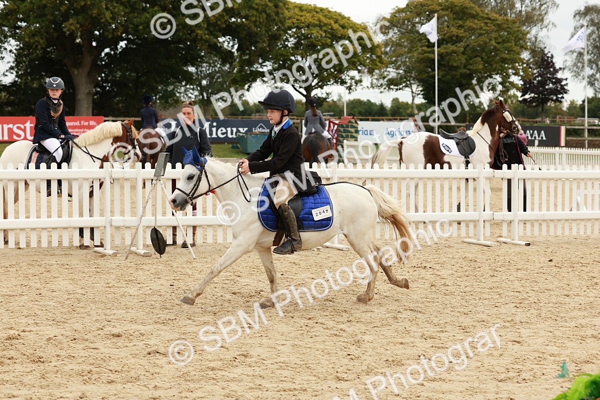 SBM_65371 - Supreme Championship 50cm & 55cm