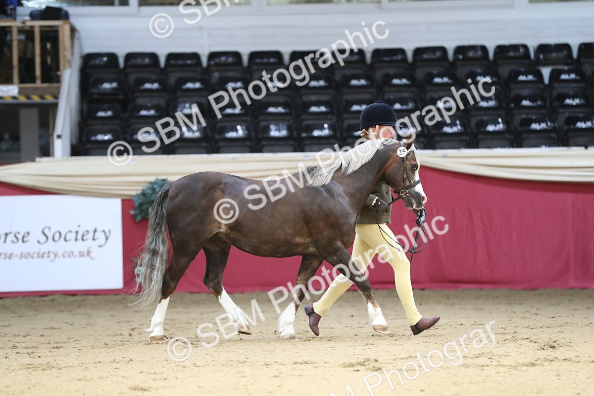 SBM_04316 - Class 7R Regional - IH Diamond