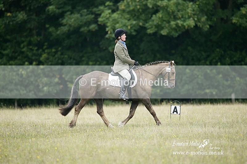 BVRC 030721 521 - Bourne Valley Riding Club Dressage 03/07/21