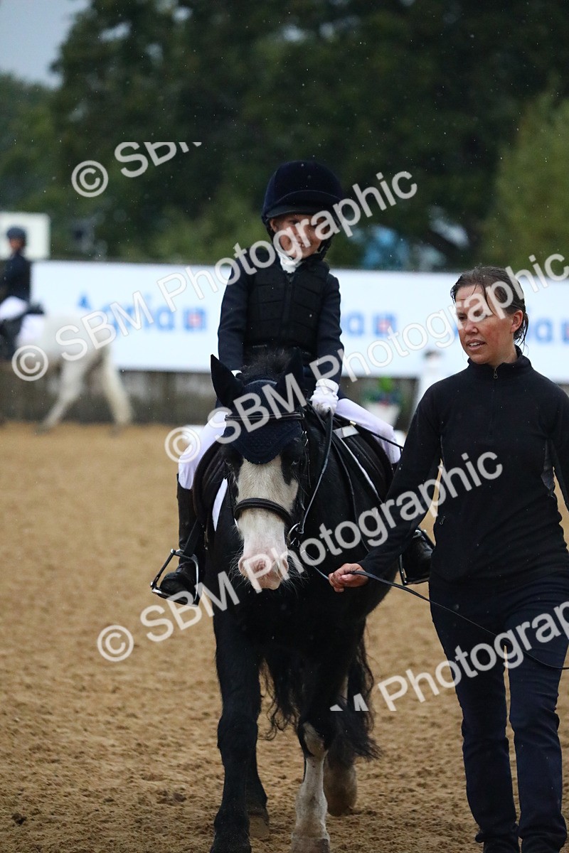 SBM_34654 - D26 - Starters Lead Rein