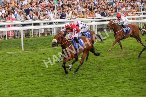 270724-Race 1-Night On Earth-4613 - Race 1 2.05pm Sky Bet 'Jump Jockeys' Nunthorpe' Handicap