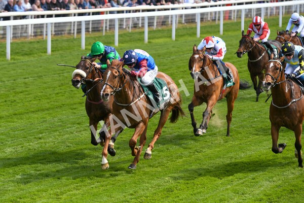 yr12052022r3-14 - Race 3 3.00pm The Paddy Power Hambleton Stakes