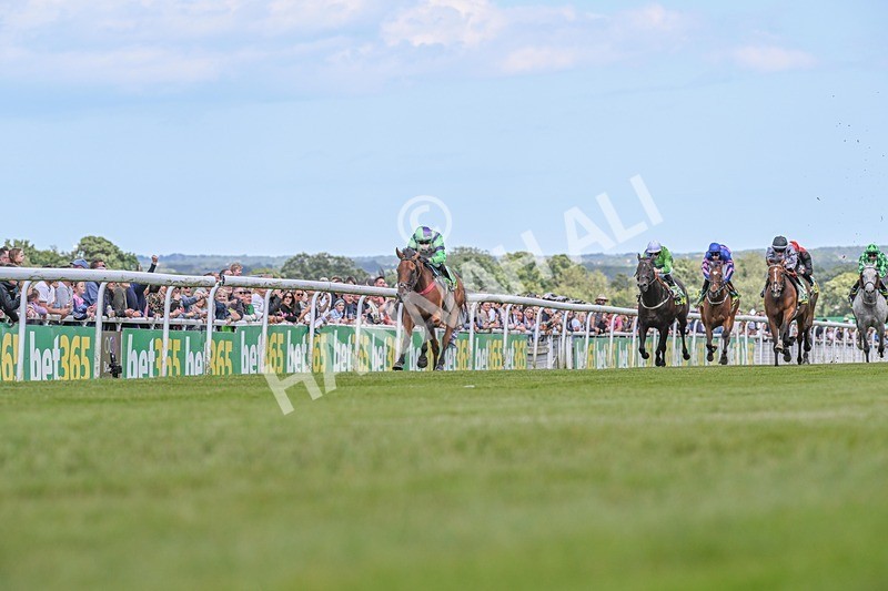 080624-Race 4-Billyb-7371 - Race 4