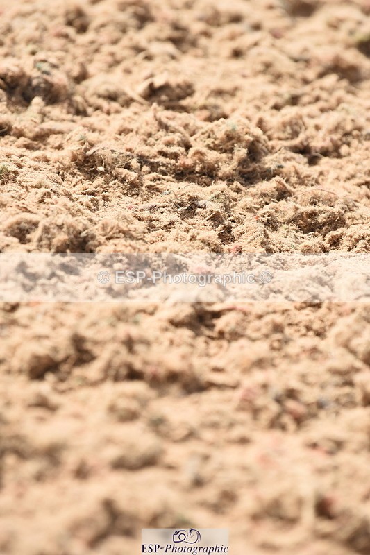 230915A-133850-00553 - Cls 11 Snr Discovery & 1m Open