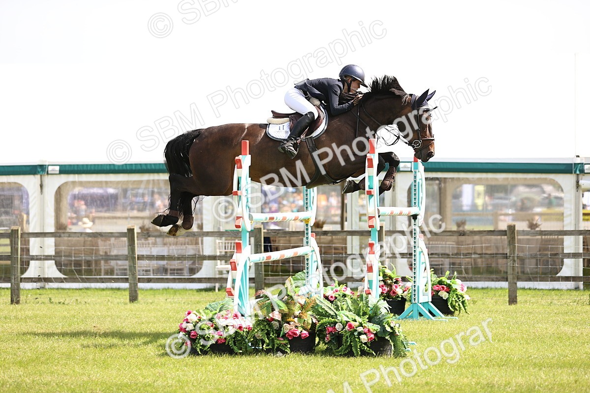 SBM_03139 - Class 201 - British Horse Feedds Speedi Beet HOYS Grade C