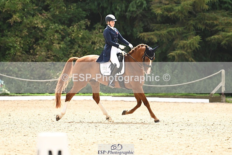 240811-134741-06174 - 139-Sara.Gallop-Jovano