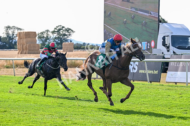 140826-Race 1-Final Objective-0660 - Race 1 17.33pm Ray And Eileen Mclean Memorial EBF Maiden Stakes
