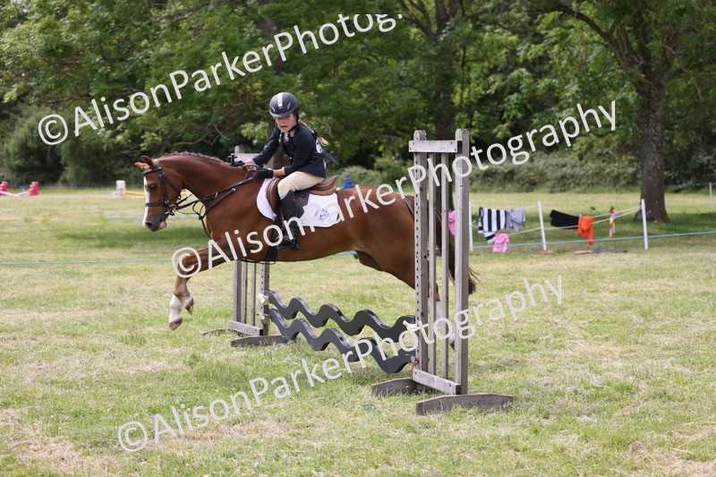 20260614-4138 - Class 24 - Mini and Major Pairs Jumping