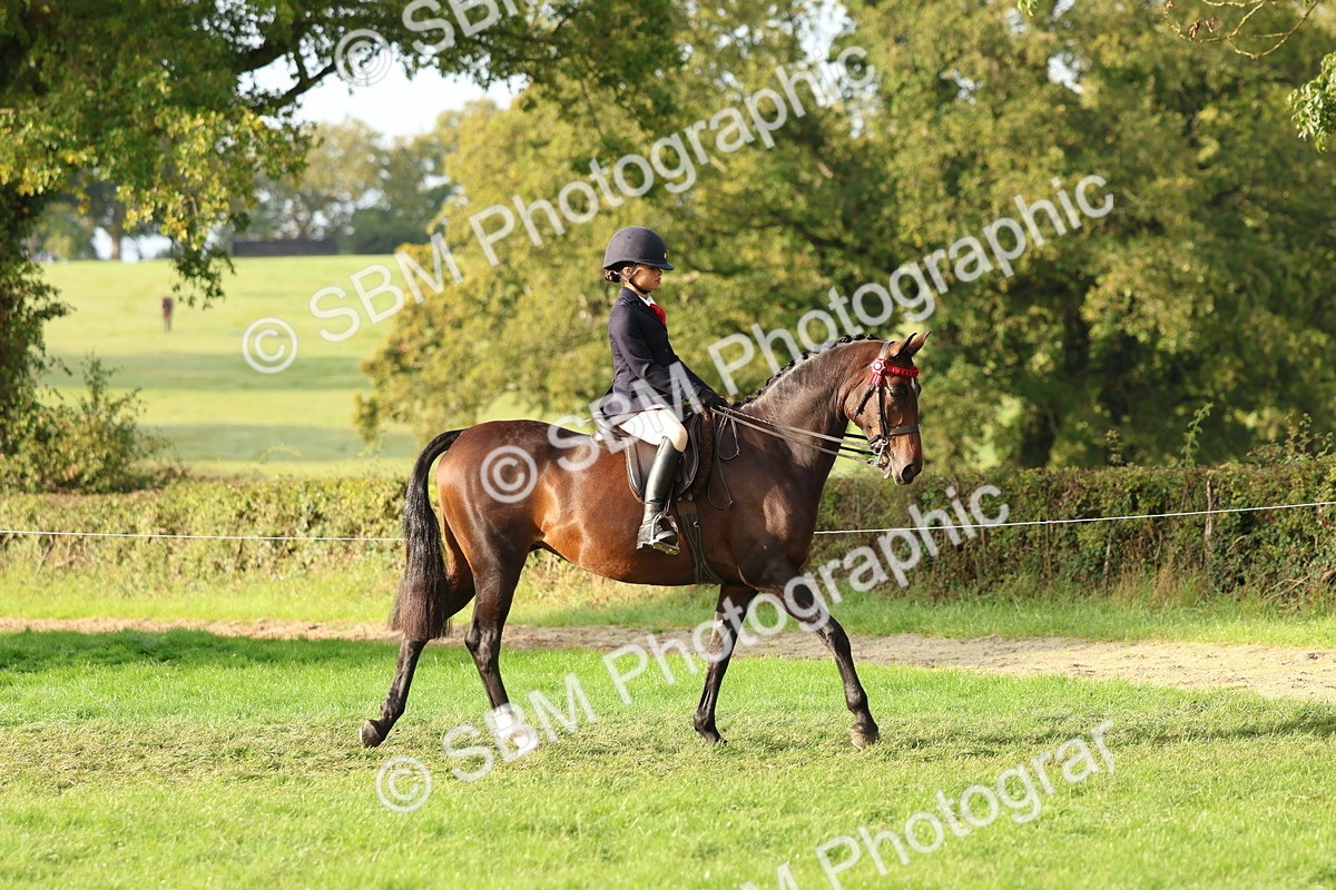 SBM_56528 - S40 - Starters Ridden Showing
