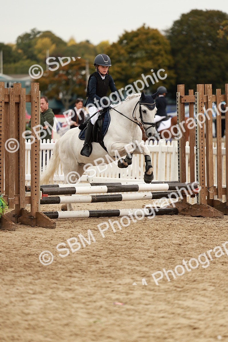 SBM_58043 - J11 - Junior Pony 50cm Championship