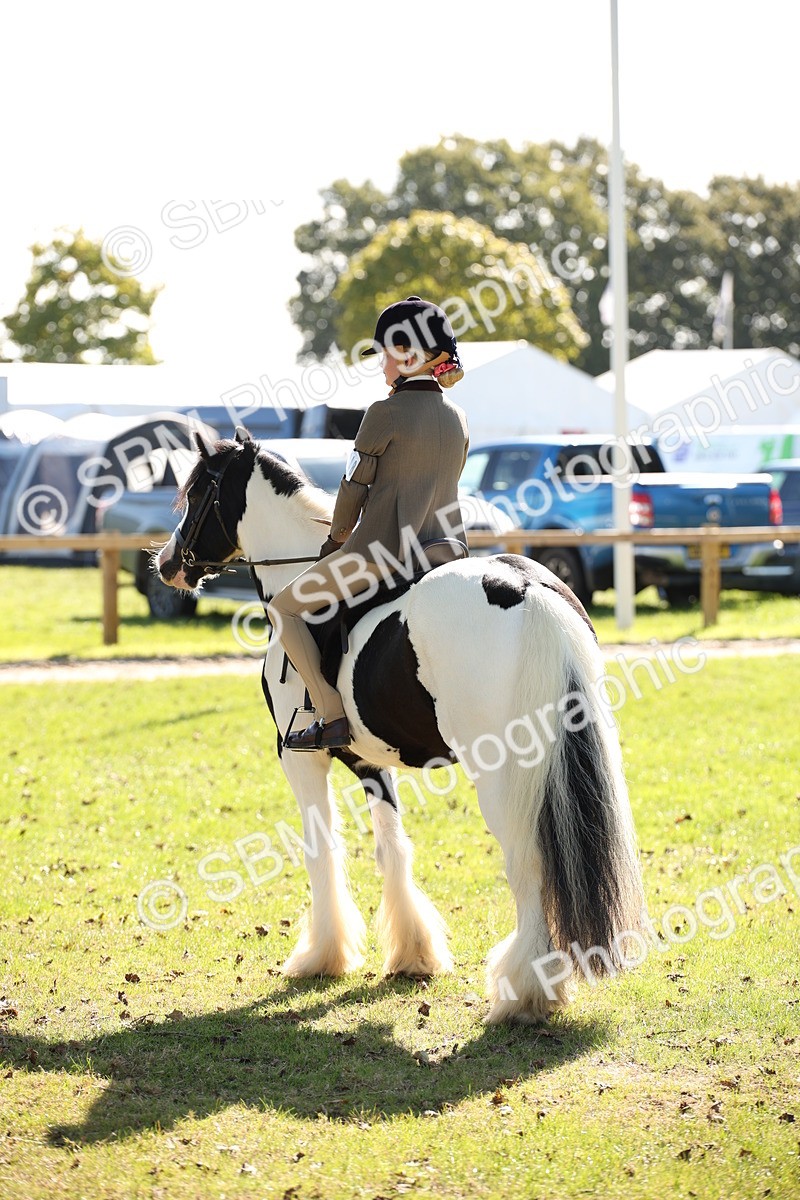 SBM_38987 - S11 - Best Ridden Horse & Pony