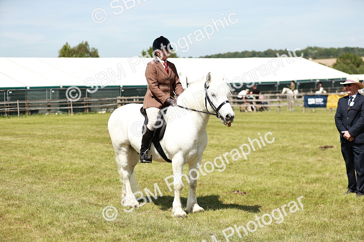 SBM_07085 - Class 26-30 - Mountain and Moorland Ridden