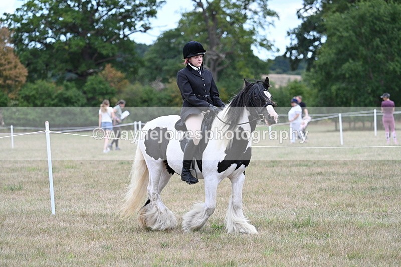 WJ7_4302 - Class 11 Family Mount