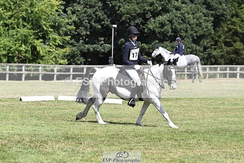 250822A-112814-22246 - DR 11.00 to 12.00