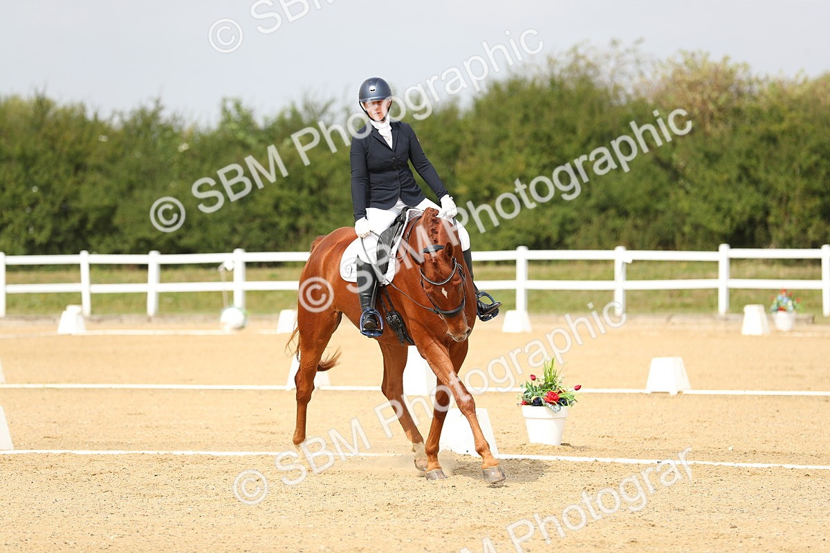 SBM_017297 - Class 13 - Novice 23 - 13.31-14.13