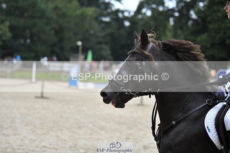 230824-105057-01562 - Round 2 10.45 to 12.03 coursewalk