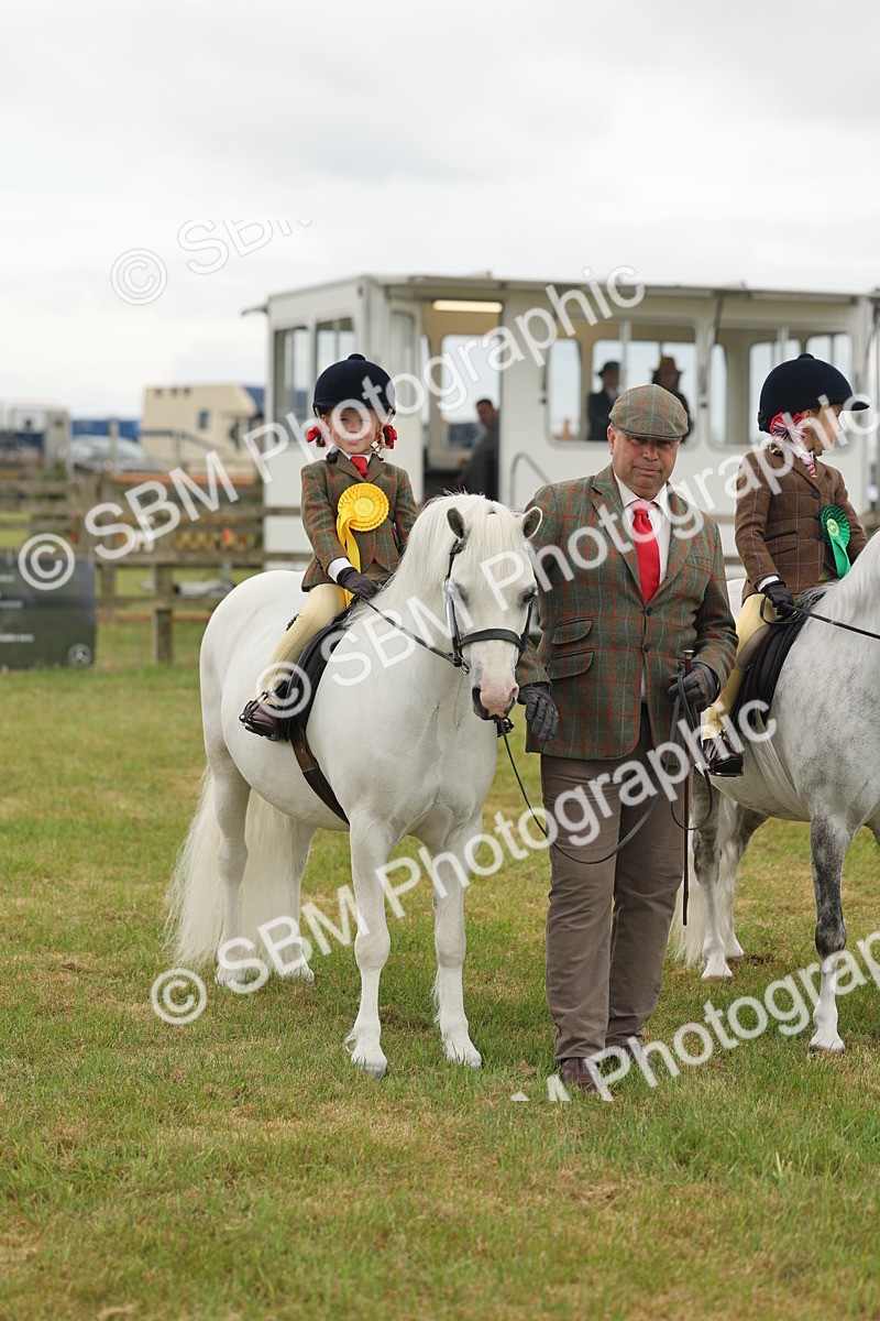 SBM_06809 - Class 74-75 - M&M Lead Rein and First Ridden Pony