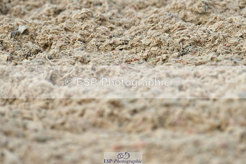 230701A-150047-06854 - Cls 11 Medium 73