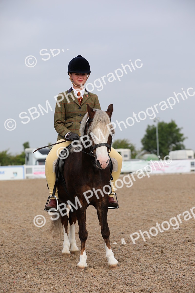 SBM_09667 - Class 301 Ridden M&M -Small Breeds