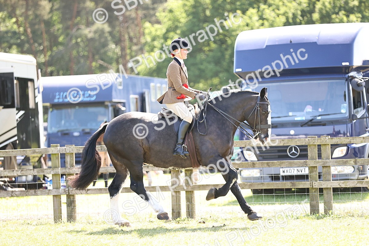 SBM_18096 - Class 81-83 - TSR Ridden Amateur of the Year - Horses