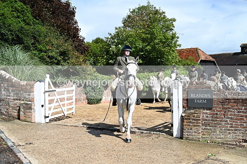 WJ7_7157 - Berks & Bucks at Blandy’s Farm 31-08-25