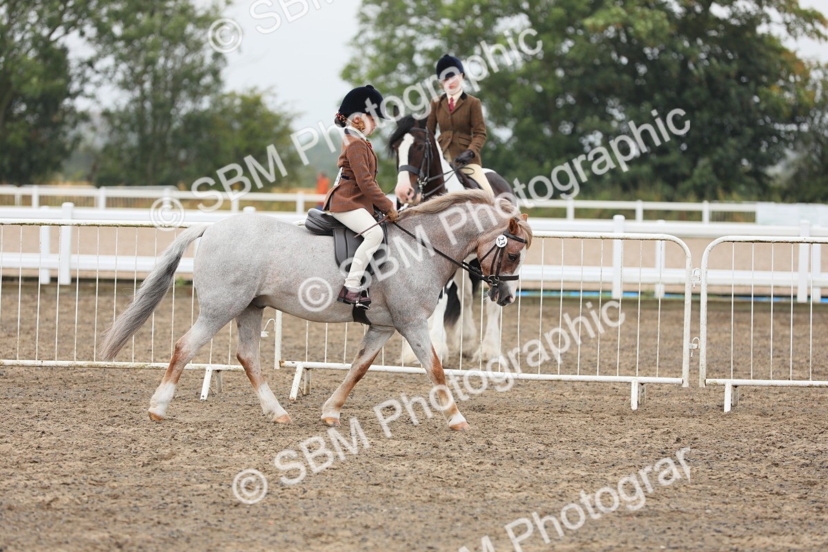 SBM_21724 - Class 806 - Young ridder 10 Yr & Under