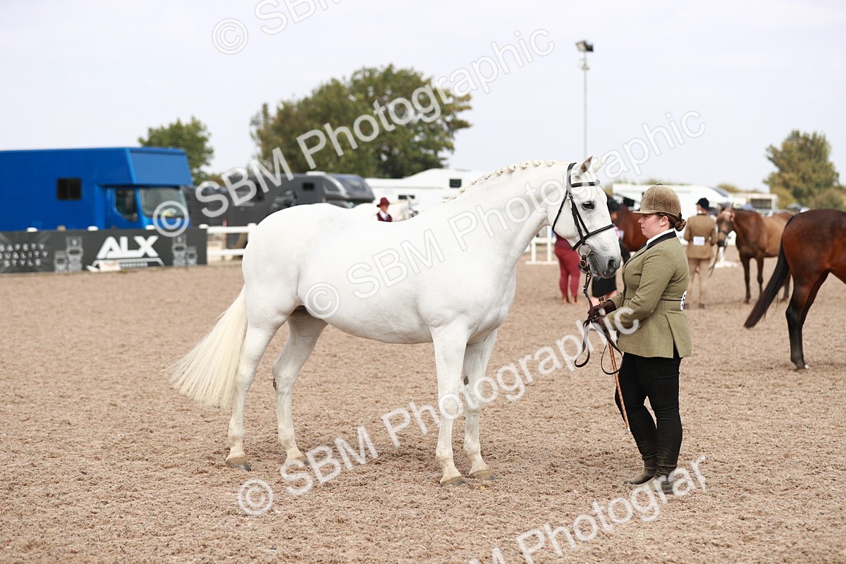 SBM_13269 - Class 208 IH Veteran Horse