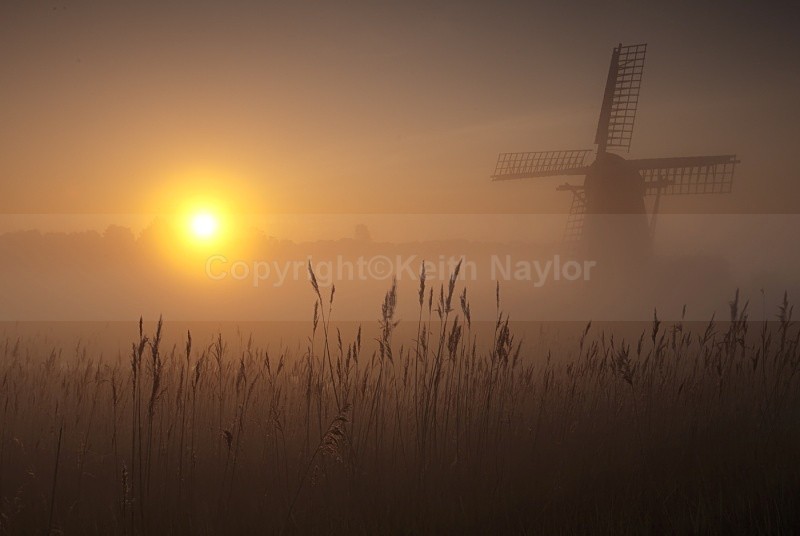 Windmill at dawn with sun rising in the east over a misty marsh