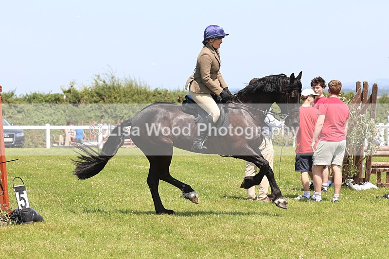 JPP_2810 - Class 21: Working Hunter 60cm