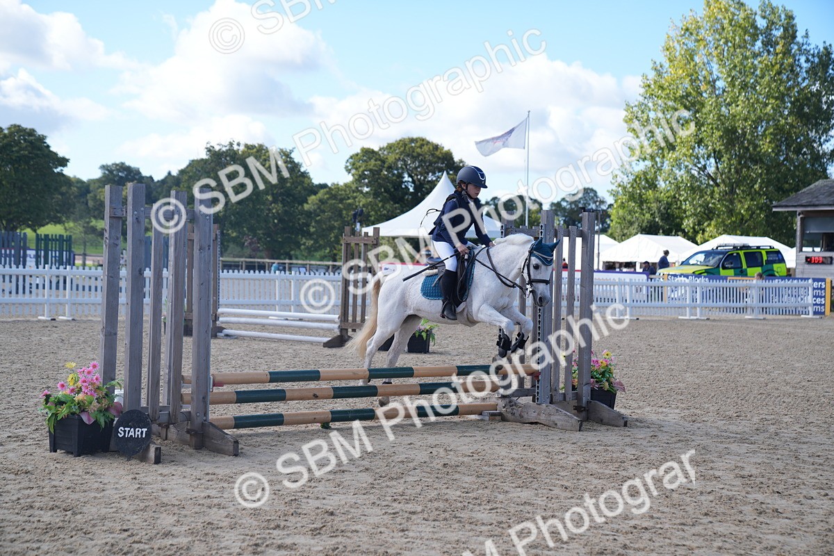 SBM_02469 - J54 Clear Round 45cm
