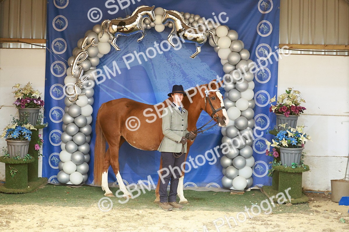 SBM_13732 - Class 104 - IH  Costume