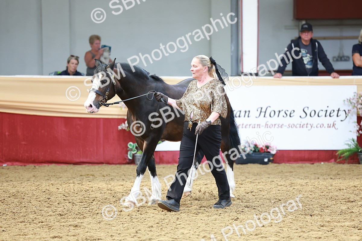 SBM_17495 - Class 951 - M&M IH Supreme Final