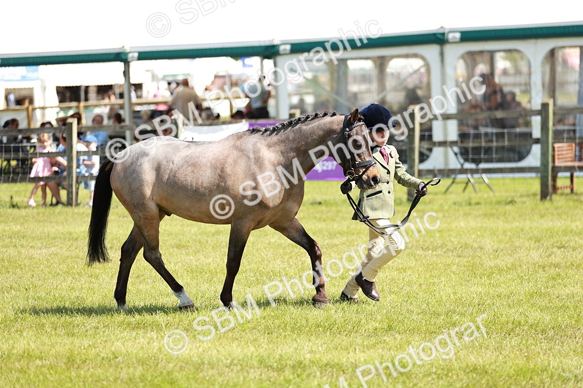SBM_13521 - Class 108-109 - BSPS LIHS Open Gradle & Nursery Stakes