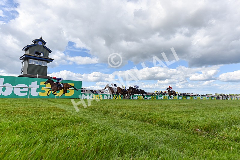 080624-Race 6-Walter Hartright-8253 - Race 6