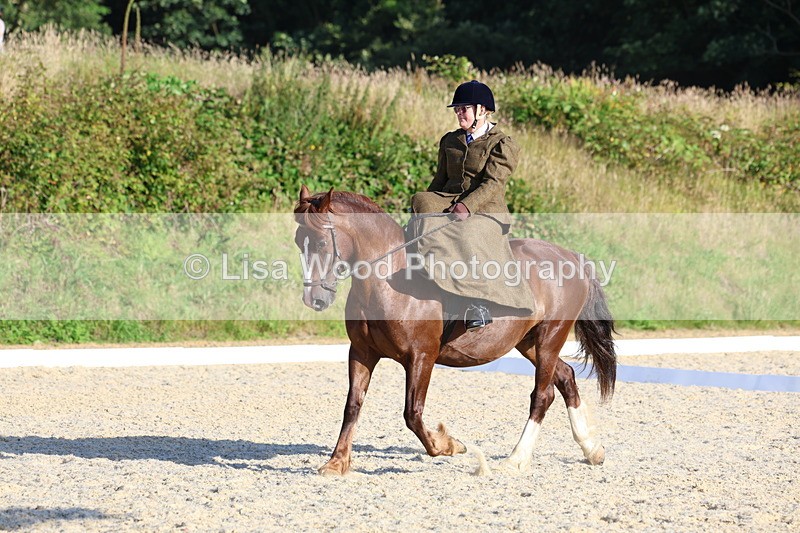 3E7A3822 - Class 3: Prelim 1 2024 Section A