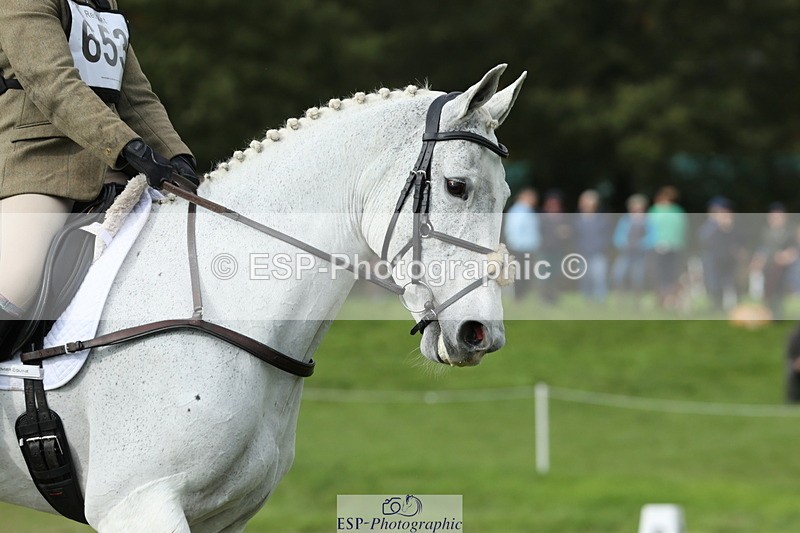 251024A-134341-12642 - H-653-Sharon.Routley