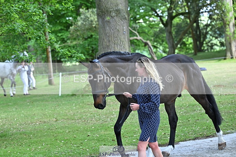 250521A-155235-00815 - B-376-Lucy.Robinson-BELLINE.SECOND.CHANCE