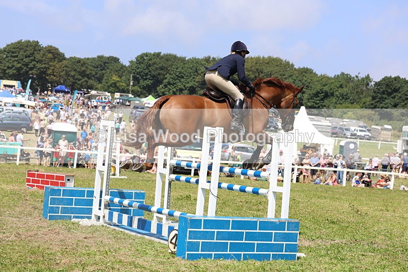 3E7A3357 - Class 10: Senior Foxhunter/1.20 open