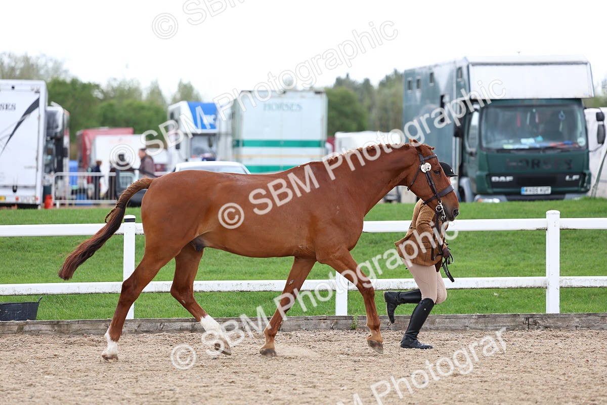 SBM_05025 - Class 27 - IH Competition Horse or Pony