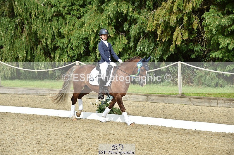 230812-160934-05445 - Novice Bronze Presentations